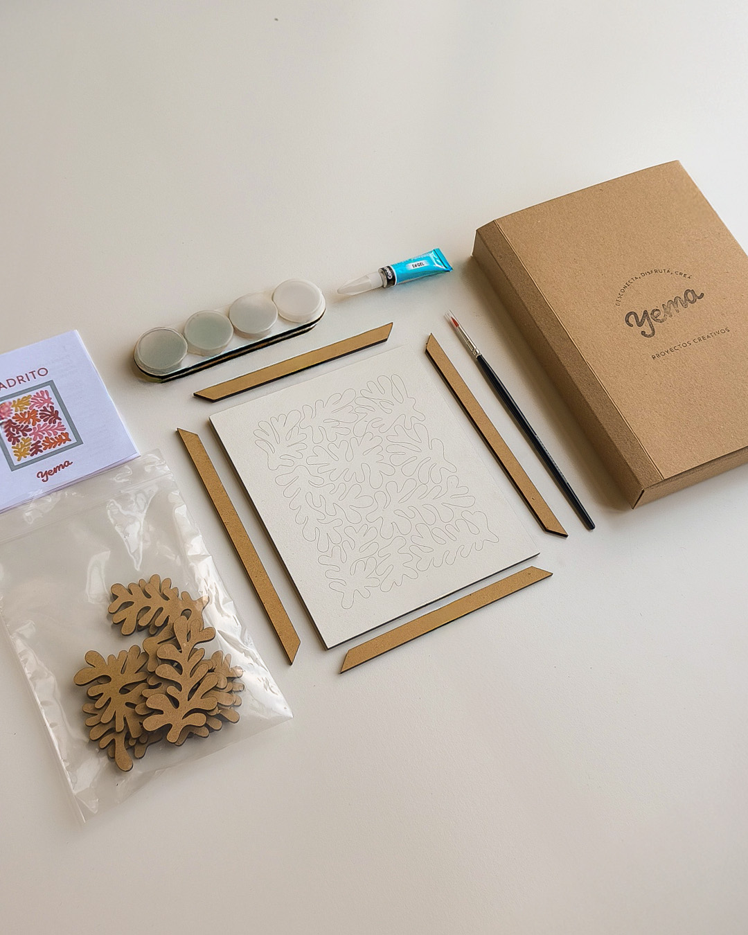 Kit desplegado con sus elementos